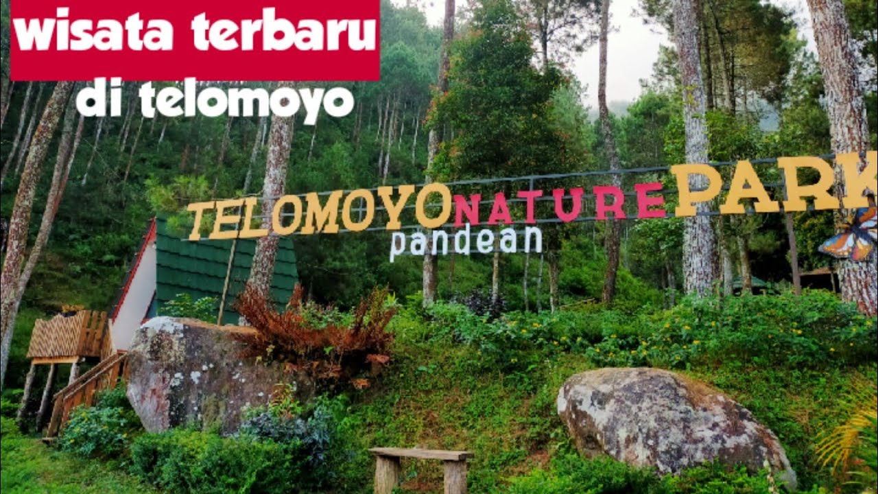 Telomoyo Nature Park: Petualangan Menakjubkan di Lereng Gunung Merapi